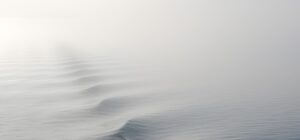 fog-1868416_1280